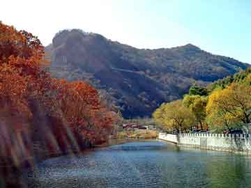 管家婆黑白马报图库，材油价格